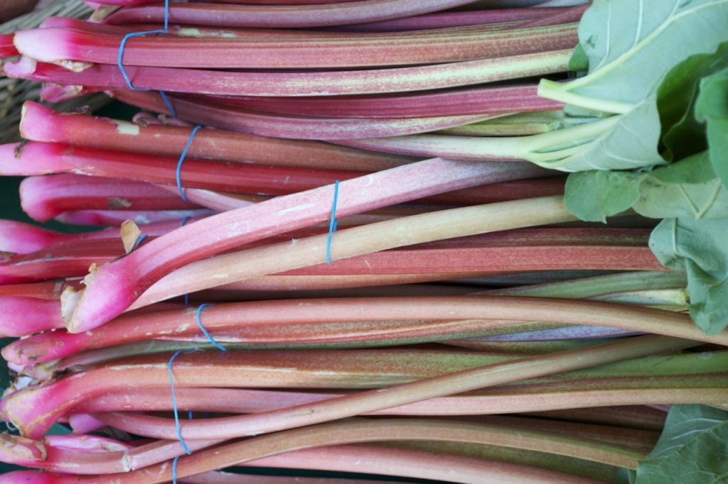 rhubarb